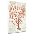 thumbnail image 2 of Tangletown Fine Art 'Textured Coral I' by Avery Tillmon Graphic Art on Wrapped Canvas, 2 of 2