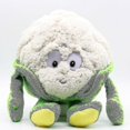 thumbnail image 4 of Peluche de frutas y verduras de 25cm, muñeco de peluche suave con ajo, fresa, brócoli, sandía y calabaza, regalo para bebé, 4 of 5