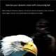 thumbnail image 4 of Soidarity WorthWhile Kick Boxing Ball Head Band Fighting Speed ​​Training Punch Ball Muay Thai MMA Equipo de ejercicio Accesorios Boxeo Numero 3 Soidarity OD009559-03, 4 of 6