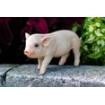 thumbnail image 5 of Garden Decor Animal Statue Standing Baby Pig, 5 of 5