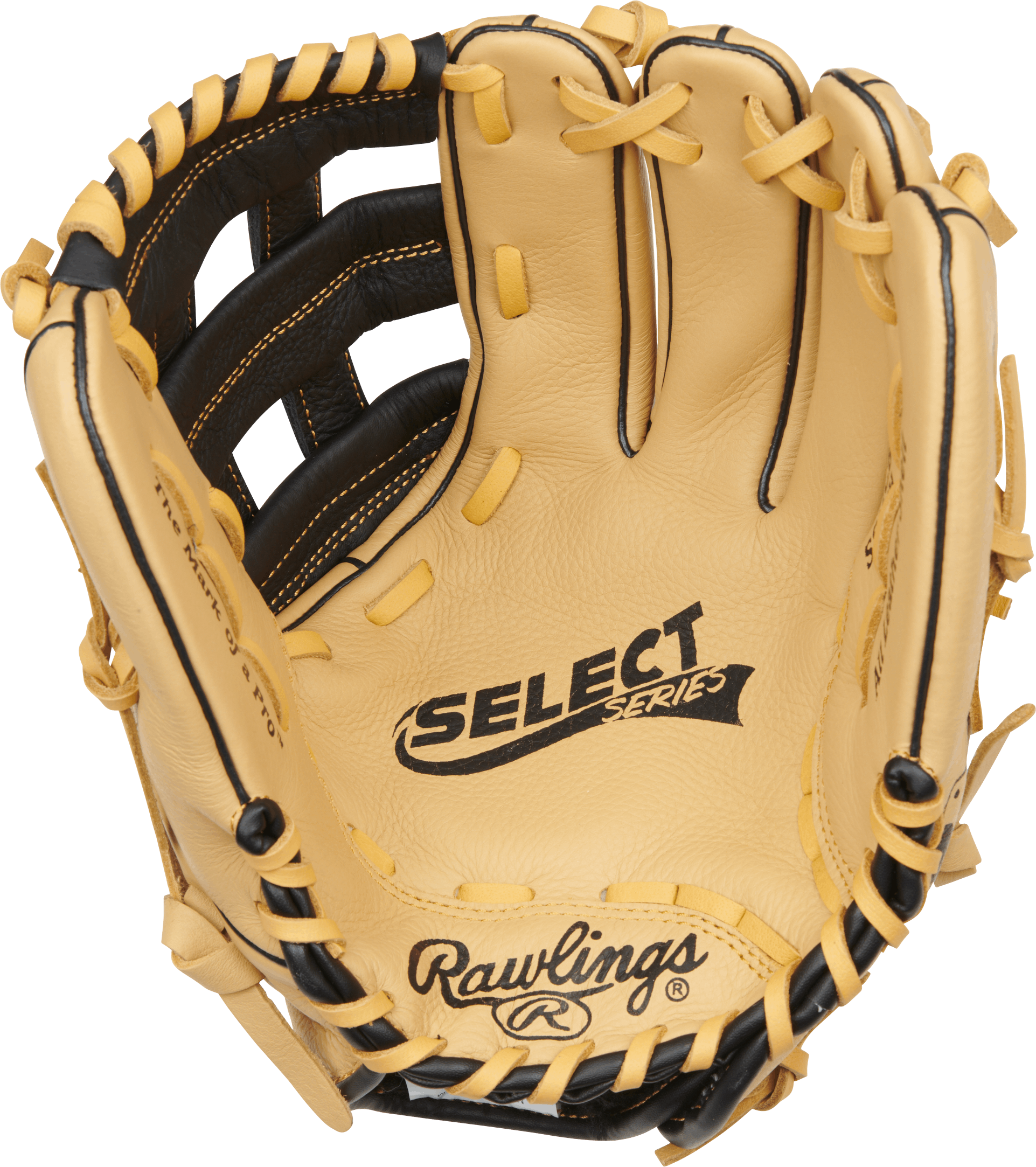 Rawlings Select Series Youth Baseball Glove 12 in photo 6
