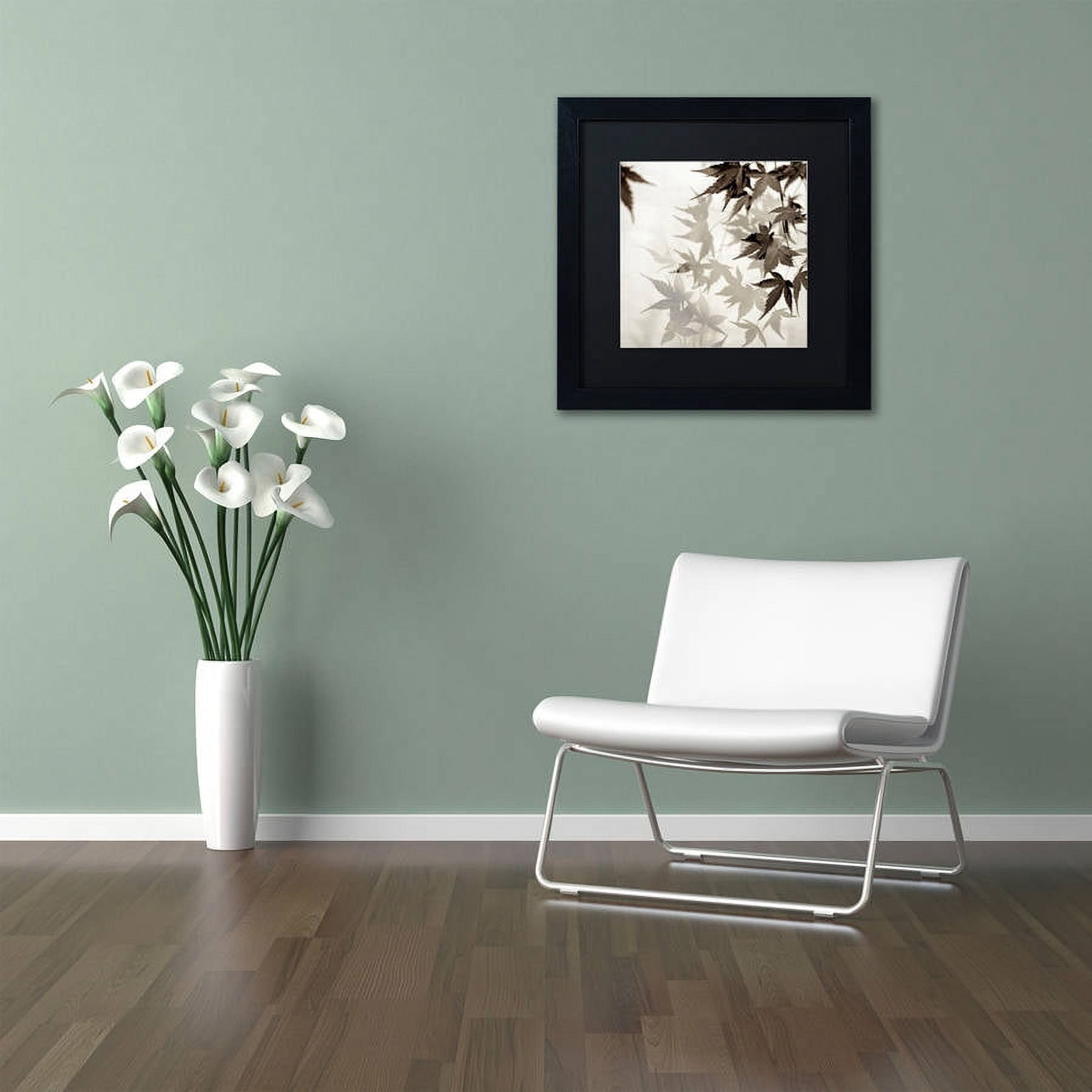 Trademark Fine Art "Florison 57" Canvas Art by Alan Blaustein, Black Matte, Black Frame