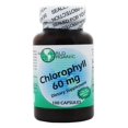 thumbnail image 1 of World Organic - Chlorophyll Caps 60 mg. - 100 Capsules, 1 of 3