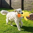thumbnail image 2 of Dog Toy Duck Plush, Quack Duck Dog Toy, Cute Toy, Plush AntiStress Pet Toy, Interactive Duck Toy for Playing Large, 2 of 5