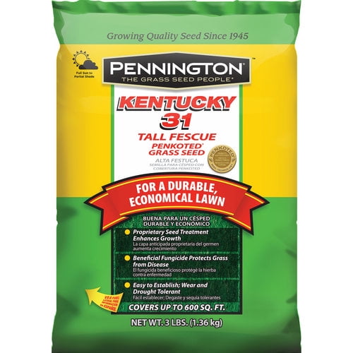 Pennington Kentucky 31 Tall Fescue, KY31 Grass Seeds for Lawn; 3 lb