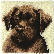 Wonderart Latch-Hook Kit, Chocolate Dog, 12" X 12"