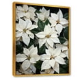 thumbnail image 2 of Designart "Serenade Of Wild White Poinsettia" Poinsettias Floater Framed Wall Art Prints, 2 of 5