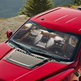 thumbnail image 5 of HUIACONG Cool Black Cat Driving Print Car Windshield Sun Shade Heat and UV Protection for Auto Sedan Trucks, Protect Interior Foldable Cars Interior Accessories Custom-fit, 5 of 7