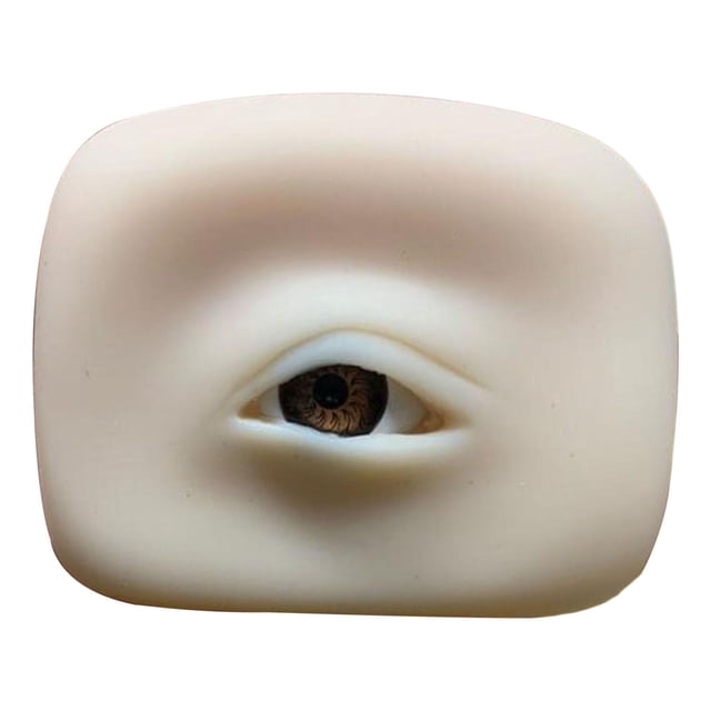 HILABEE Silicone Practicing Makeup Eye Lightweight Makeup Practice Training Right Brown