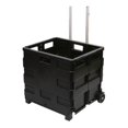 thumbnail image 1 of Carrito de Compras para Mandado Basic Living Plegable, 1 of 3