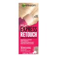 thumbnail image 1 of Garnier Express Retouch, Hair Touch Up, 1 of 1