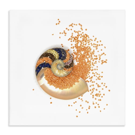 Stupell Industries Orange Nautilus Spiral Canvas Wall Art, design by Beth Adoette