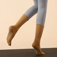 thumbnail image 1 of Calcetines de yoga de tubo largo de otoño e invierno, antideslizantes, calcetines de pilates profesionales para mujer en la parte inferior de bucle de tubo de algodón absorbente de sudor, 1 of 6