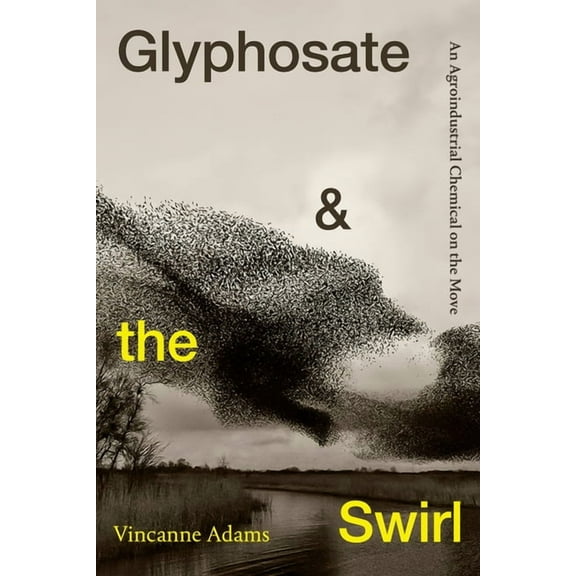 Critical Global Health: Evidence, Effica Glyphosate and the Swirl: An Agroindustrial Chemical on the Move, (Paperback)