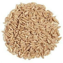 Exotic Nutrition Whole Oats 4 lb. - Supplemental Food for Degus and Chinchillas
