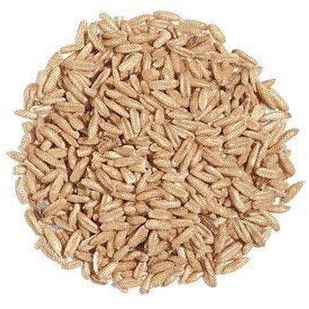 Exotic Nutrition Whole Oats 4 lb. - Supplemental Food for Degus and Chinchillas
