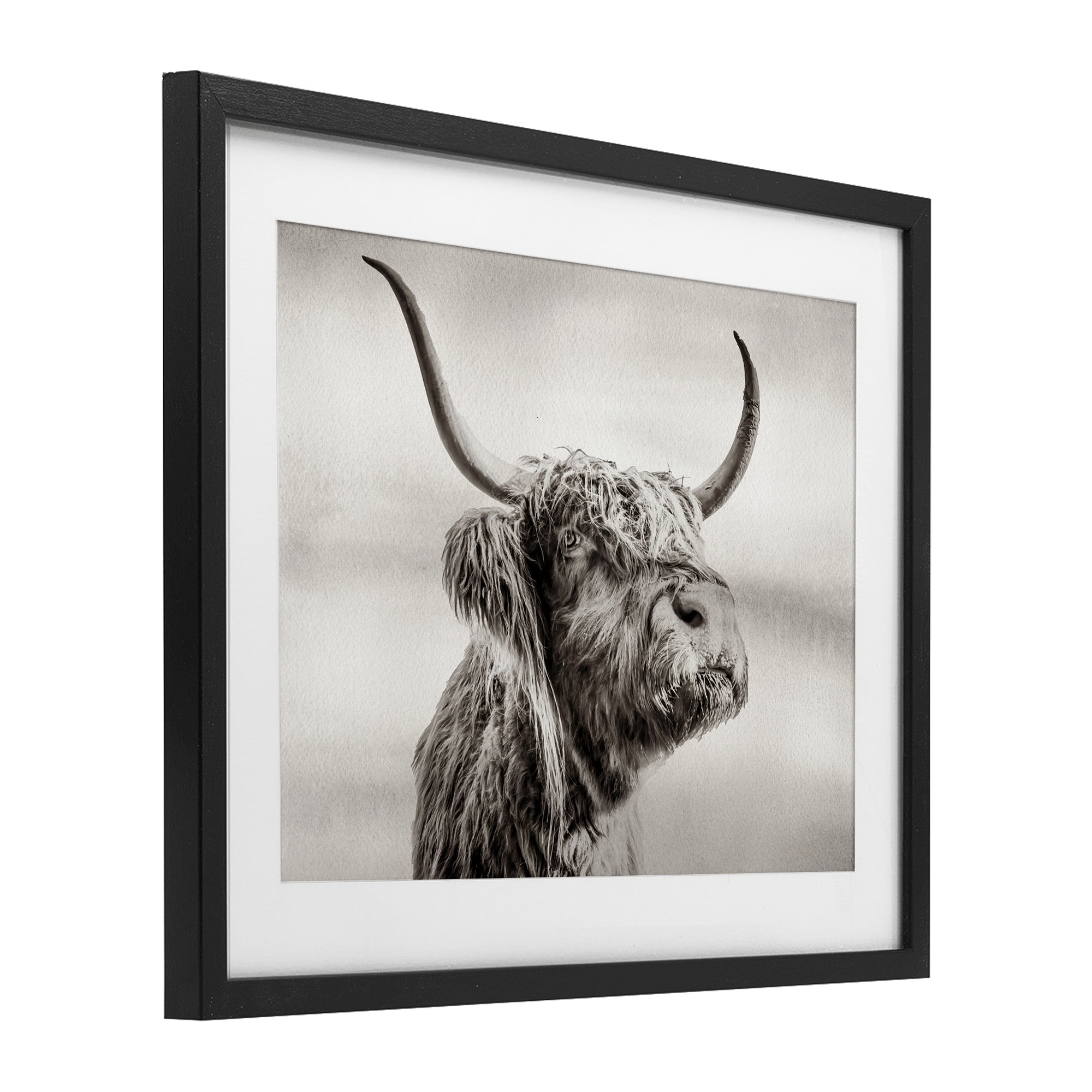 Stupell Industries Horned Highland Cow Gazing Black Framed Print Under Glass, design by Julia Frost