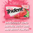 thumbnail image 6 of Trident Island Berry Lime Sugar Free Gum, 24 Packs of 28 Pieces (336 Total Pieces) DOUBLE UP DEAL, 6 of 7