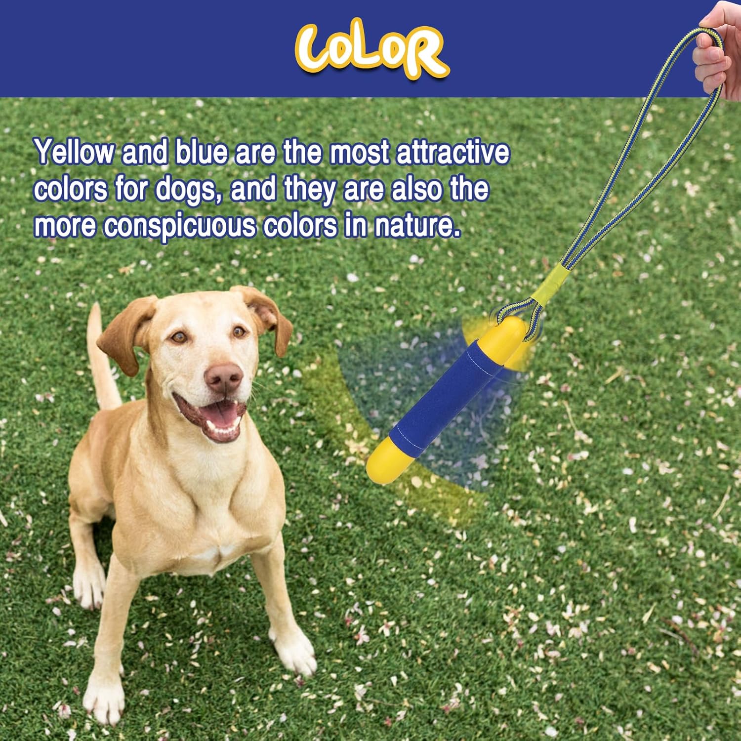 Dog Pool Floating Toys Interactive Water Retrieving Toy Outdoor Beach Yard Training Fetch Bumpers for Summer 2 Pack