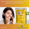 thumbnail image 4 of Cough Drops Fusion Shop Store, sin azúcar, miel y limón, 70 ml, 4 of 8