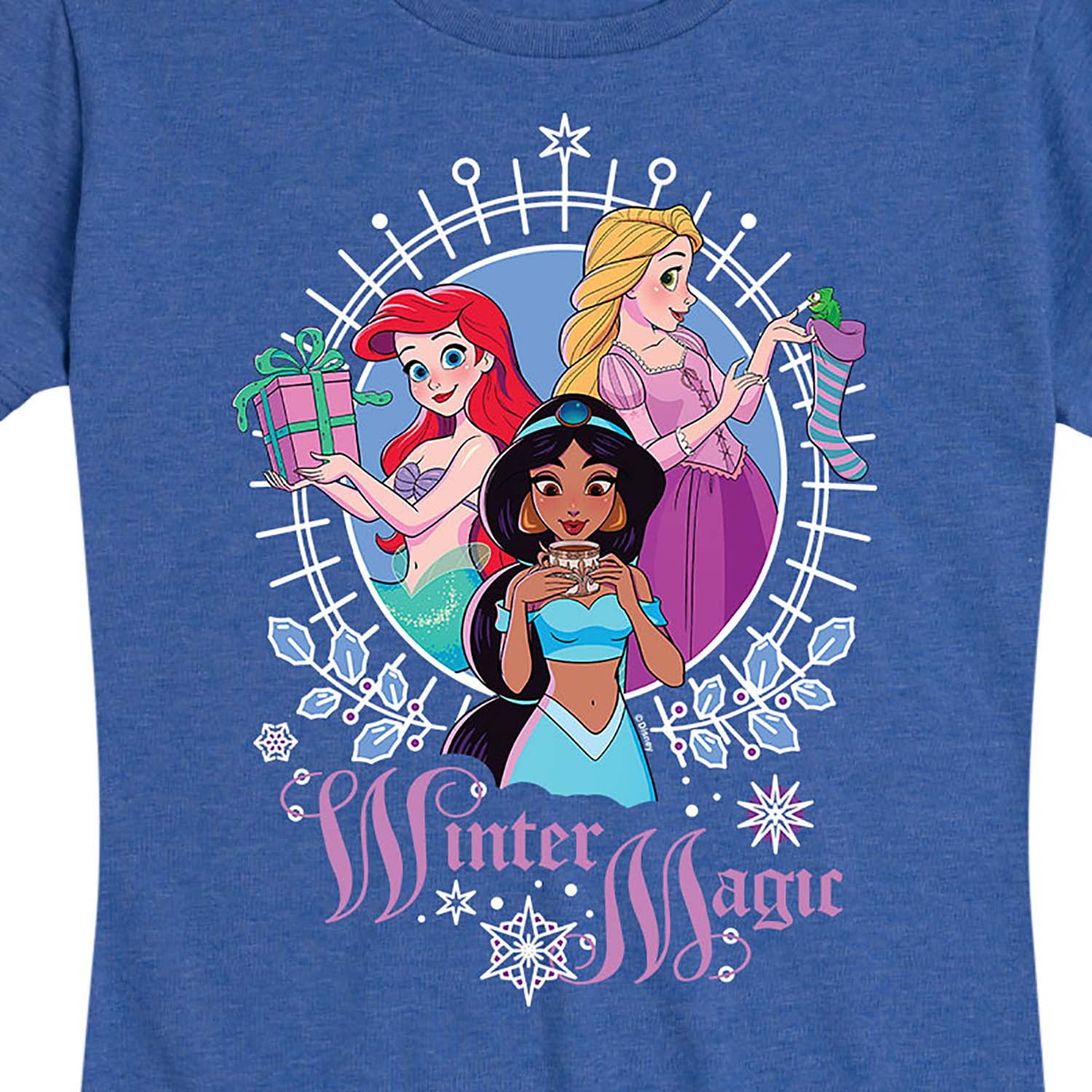 Disney Princess - Winter Magic - Women's Short Sleeve Graphic T-Shirt -  Walmart.com