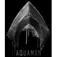 thumbnail image 2 of Men's Zack Snyder Justice League Aquaman Silver Logo Pull Over Hoodie Black Medium, 2 of 4