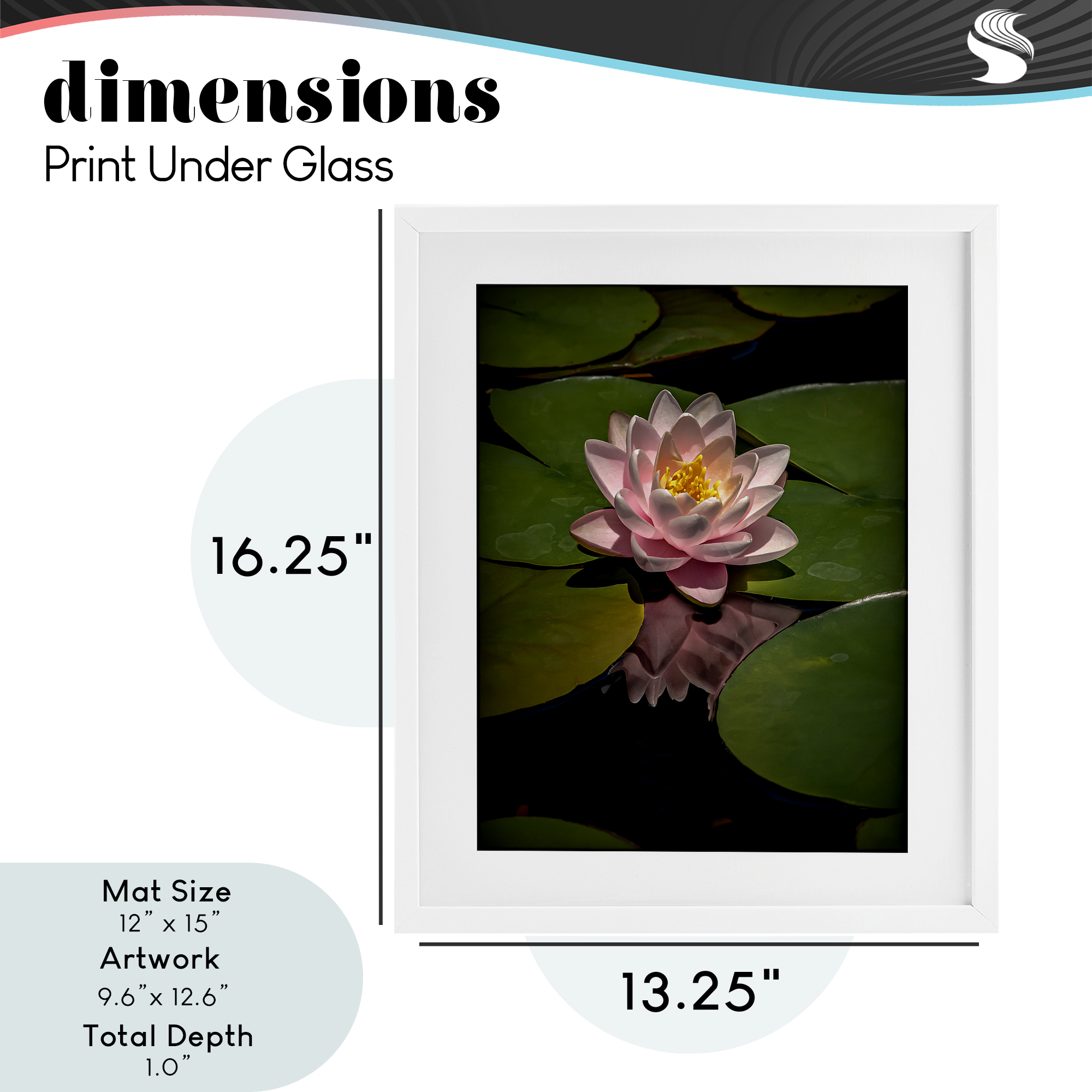 Pink Lotus Among Lily Pads White Framed Print Under Glass, design by Phillip Flowers
