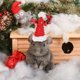 thumbnail image 3 of 2 Unids Sombrero de Navidad Gorra Trajes de Disfraces de Navidad Lindos Sombreros Accesorios de Aseo para el Cabello para Perro Gato Mascota Hámster, 3 of 5