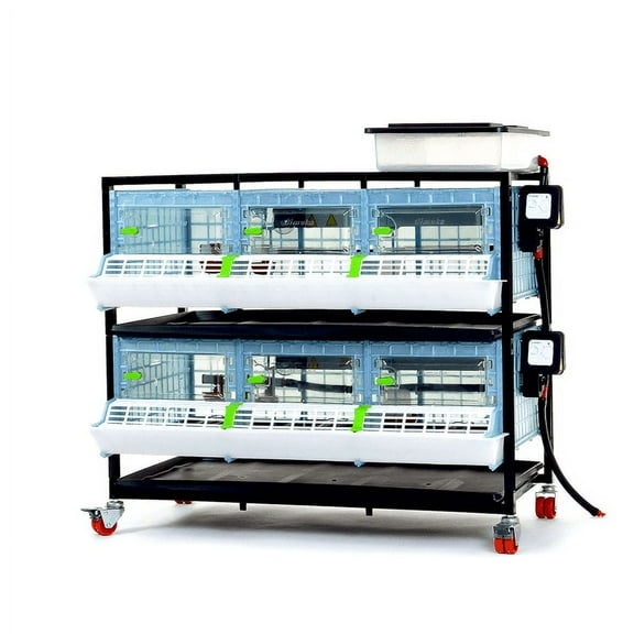 Hatching Time Chick Brooder - 2 Layer H: 9.5" (Power-Washable, Durable, ABS Plastic) | Cimuka