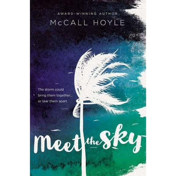 Meet the Sky, (Hardcover)
