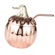 thumbnail image 4 of Taza de acero inoxidable para jugo, sopa, café, bebida, calabaza, leche Copa con pajita, 4 of 9