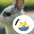 thumbnail image 4 of lionlar Pet Rabbit harness, Small Animal Denim Jacket Coat Harness Belt Vest Hat Set, Suitable for Kittens, Guinea Pig M, 4 of 7