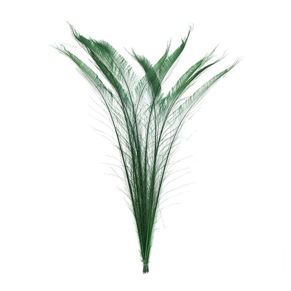 Zucker Feather Products Peacock Swords Bleached - Dyed Feathers - 25-40" - 10 pcs - Kelly