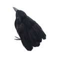 thumbnail image 2 of Decoración de cuervos de Halloween, cuervos con plumas negras, decoración realista de Halloween, pájaros hechos a mano para adorno decorativo de jardí Estilo C Macarena Cuervo negro, 2 of 8