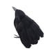 thumbnail image 2 of Decoración de cuervos de Halloween Decoración de Halloween Pájaros Cuervos artificiales Decoración para Estilo C, 2 of 9