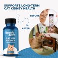 thumbnail image 5 of BestLife4Pets Cat UTI, Kidney & Bladder Support - Natural Supplement for Cats Renal Health and Bladder Control - 400 Pills, 5 of 14