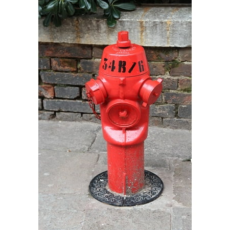 Framed Art for Your Wall Hydrant Red Tube Fire Water Hydrant Fire Out 10x13