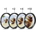 thumbnail image 4 of Universal Camera Macro+1+2+4+10 Close-Up Lens Filter 4-In-1 Close-Up Lens 58mm Suitable for Various Cameras, 4 of 5