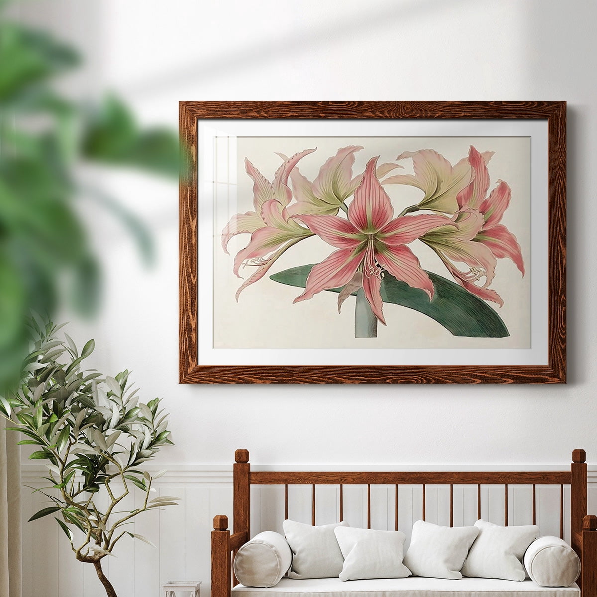 Amaryllis Varietals I-Premium Framed Print - Ready to Hang