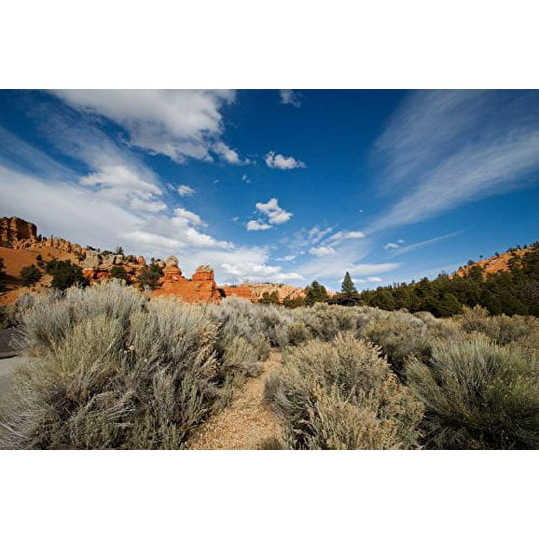 Tamron AF 10-24mm F/3.5-4.5 SP Di II LD Aspherical (IF) Lens for  