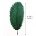 thumbnail image 3 of Materiales para manualidades Plumas de avestruz Ballinger 24 unidades 25-30 cm Verde, 3 of 6