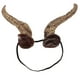 thumbnail image 1 of Diadema de cuernos de Halloween para cosplay, accesorios de disfraz de cuernos para decoraciones de fiesta de Halloween y accesorios de fotos, tocado de disfraz de cosplay, 1 of 8