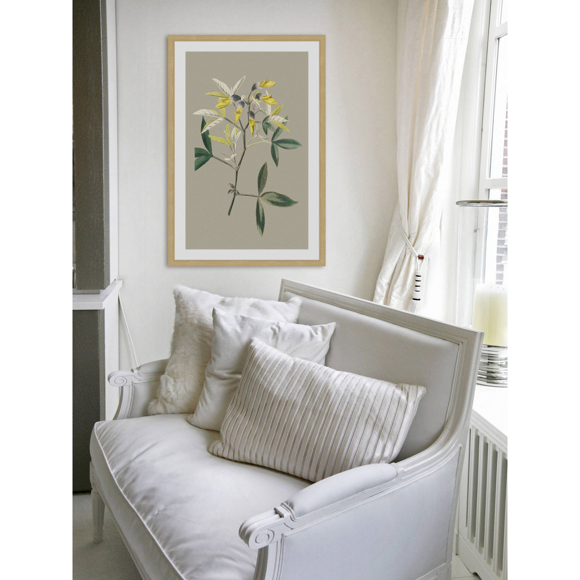 Marmont Hill "Botanical Cabinet VI" Framed Painting Print