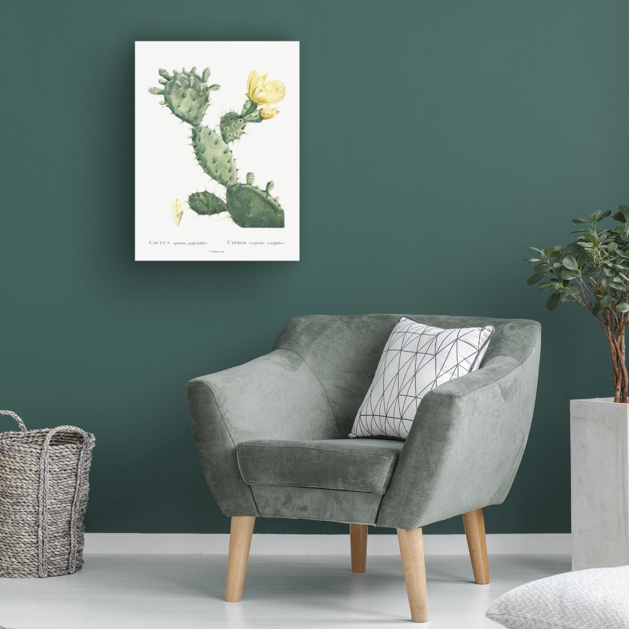 Trademark Fine Art Pierre Redoute Redoute Cactus I Canvas Wall Art