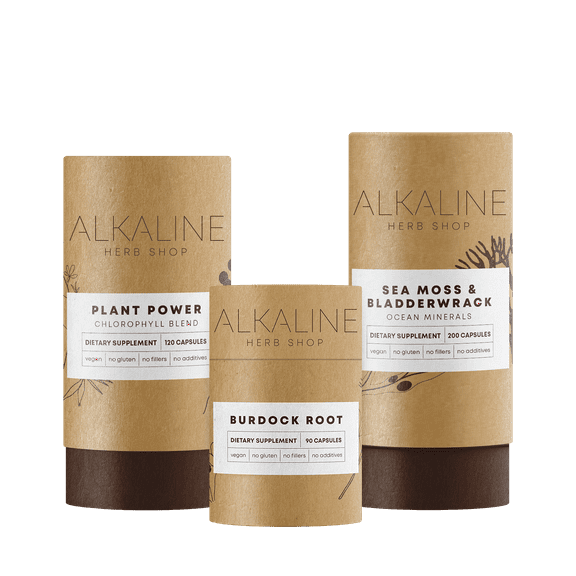 The Restore Bundle - Sea Moss & Bladderwrack, Plant Power (Chlorophyll), and Burdock Root