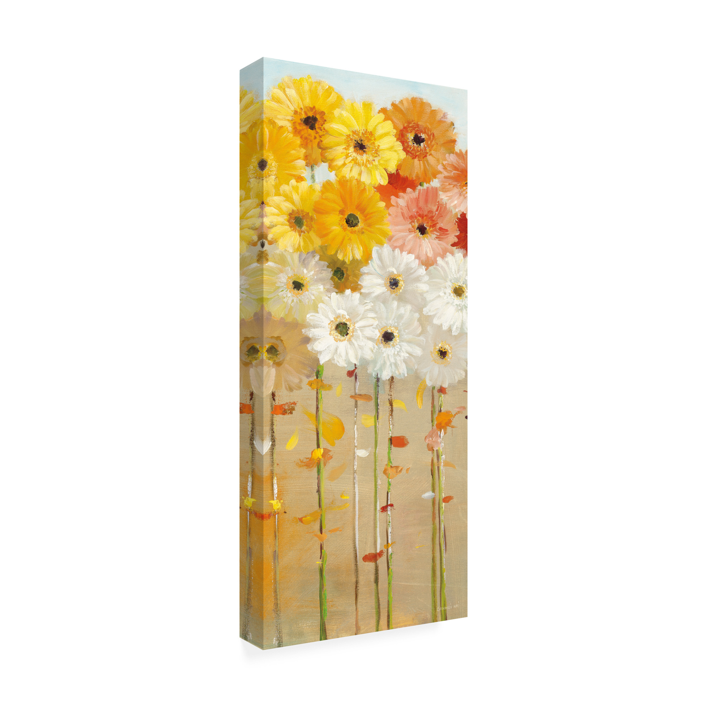 Trademark Fine Art 'Daisies Fall I' Canvas Art by Danhui Nai