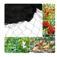 thumbnail image 1 of Red para pájaros, red de nailon negra para plantas de frutas, red antipájaros de 5 m x 25 m, 1 of 5