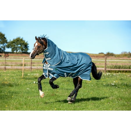 UPC: 0649982112693 | Horseware Ireland AAROJ0-CTJ0 Amigo AmEco Bravo 12 Plus Lite 0g Teal/Grey 84