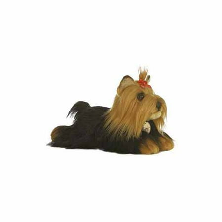 Miyoni Medium Yorkie by Aurora - 10839 (Best Way To Train A Yorkie Puppy)