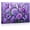 Frame-style, variant on Purple Roses and Butterflies Canvas Wall Art Lilac Floral Flower Prints Amethyst Violet Botanical Artwork for Living Room Bedroom Bathroom Home Decor Posters